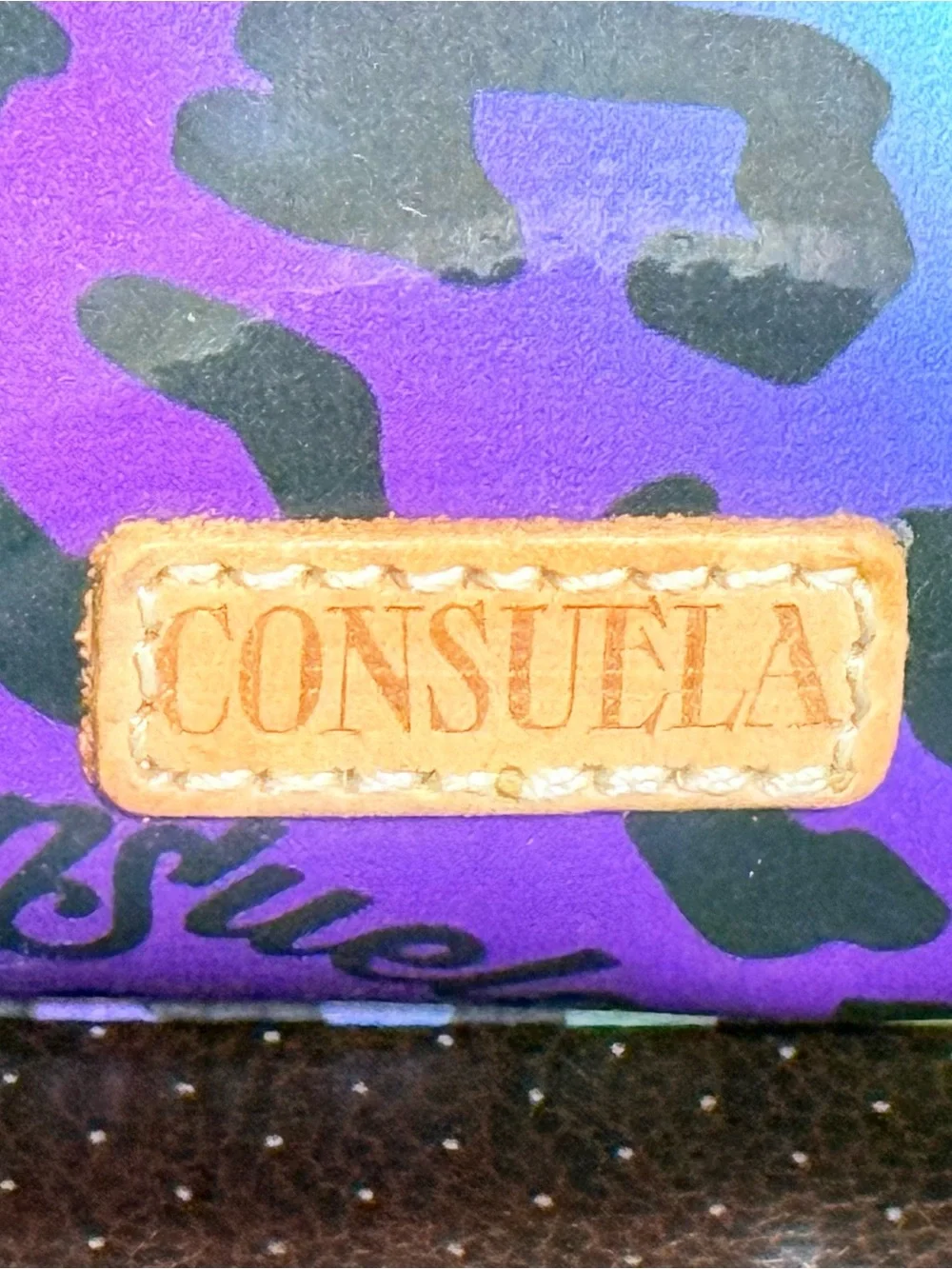 Consuela Semi Multi Color Leopard Cosmetic Case